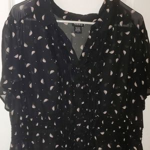 Torrid birds top